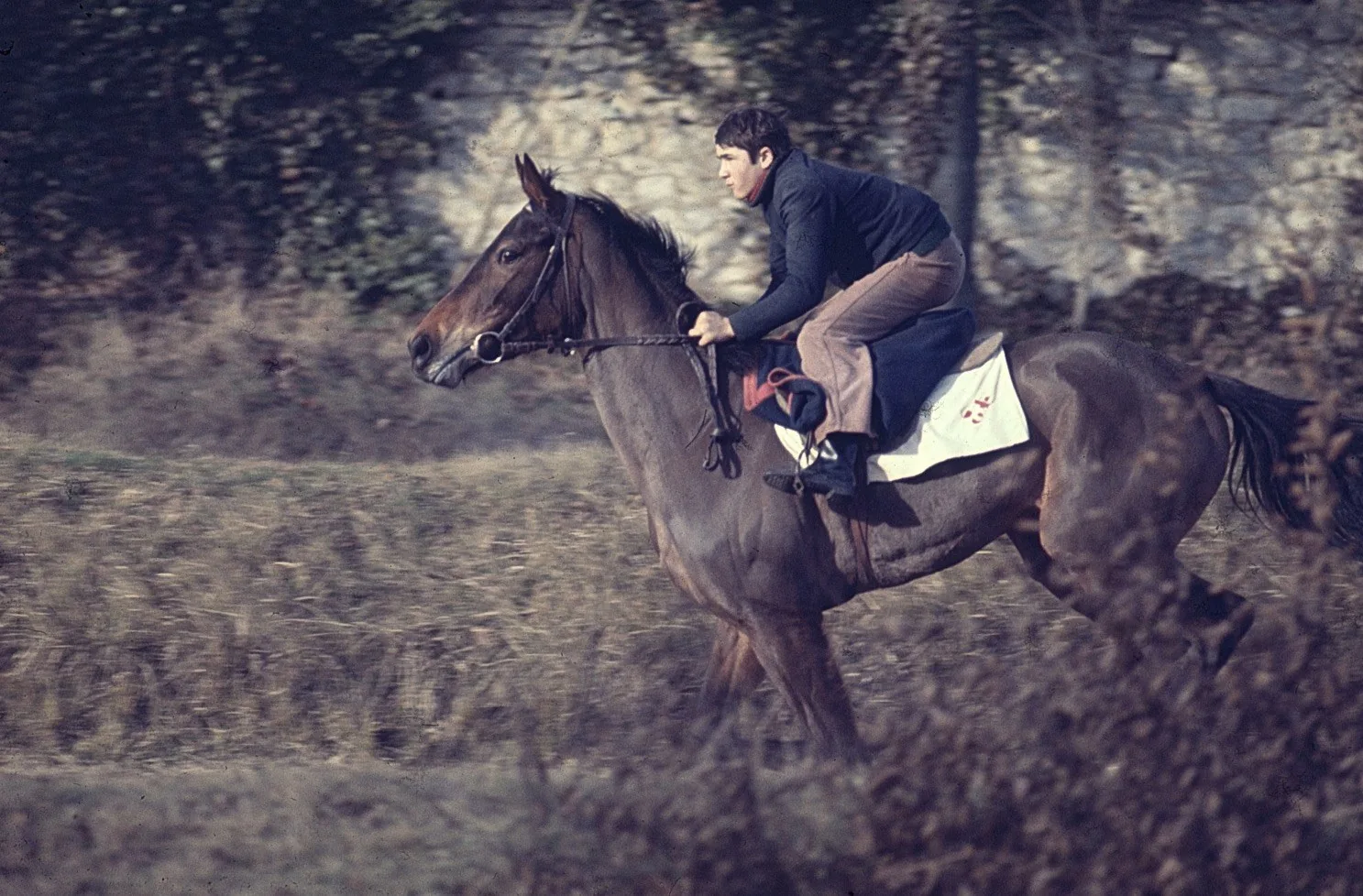 La piste Maisons-Laffitte — 2